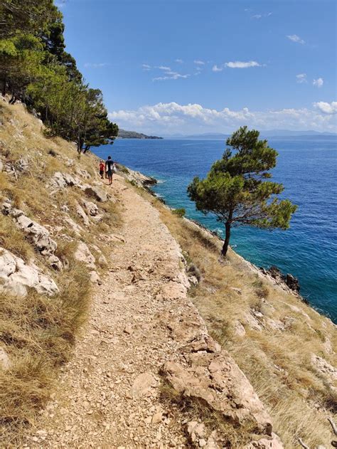 osejava forest park|Forrest Park Osejava, Makarska 